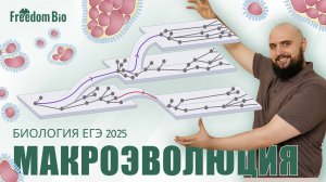 МАКРОЭВОЛЮЦИЯ. Пути, Способы и Направления. |Эволюция| ЕГЭ БИОЛОГИЯ 2025|Freedom|