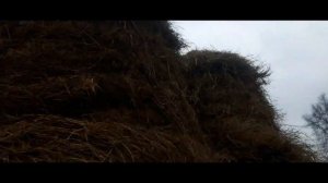 СКОЛЬКО ТЮКОВ СЕНА МОЖНО УВЕЗТИ НА ГАЗЕЛИ? | ПУТЬ МИЛЛИОНЕРА