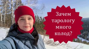 Зачем тарологу много колод? Какие колоды бывают?