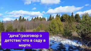 "дача"/разговор о детстве/ что в саду в марте?