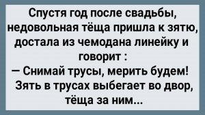 Как Теща Линейкой Хозяйство Мерила! Сборник Свежих Анекдотов! Юмор!