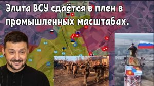 Элита ВСУ попали в окружение под Курском и массово сдаются в плен.