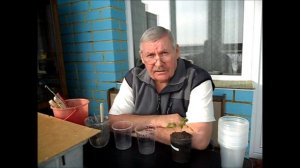 Если рассаду не полить вовремя, насколько это опасно.