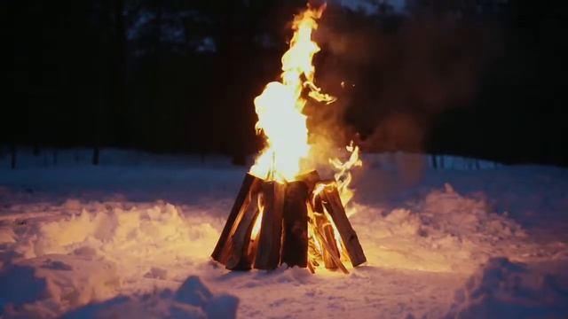 Crackling Forest Campfire with Relaxing Birds Chirping, Wind and Fire sound|Звук костра для сна смотреть онлайн