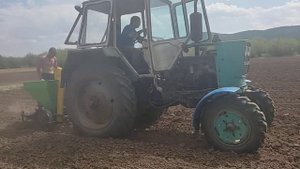 посадка картофеля  новой сажалкой на юмз 6 2022