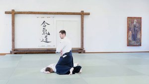 Айкидо. Как делать:  никке ура из екомэн учи