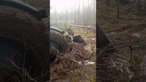 Мтз 52 болото лебедка выручает