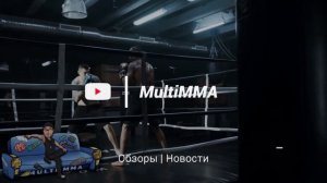 Хаммерфист. Термины ММА. Понятия