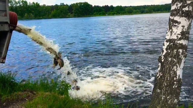 24.05.2018 - зарыбление Нагульного водоёма карпом смотреть онлайн