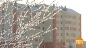 Нарьян-Мар, город за Полярным кругом. Доброе утро. Фрагмент выпуска от 10.03.2025