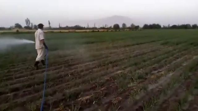 трактор YTO и одень смотреть онлайн