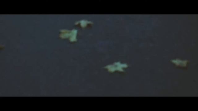 Autumn BMW e46 Chill смотреть онлайн