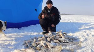 ДВА ДНЯ НА ОЗЕРЕ.ОКУНЬ И ЩУКА.ДЕНЬ ПЕРВЫЙ