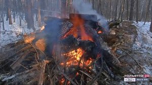 Сжигание порубочных остатков – вынужденная мера в очистке леса ("Новости Тольятти" 15.12.2020)