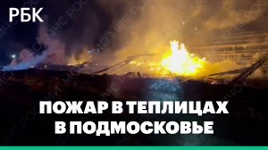 В Подмосковье при пожаре в тепличном комплексе погибли четыре человека