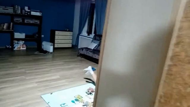 Будни многодетной семьи затариваемся дровами-к холодам готовы