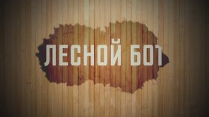 Как начать работу с Лесным Ботом для интеграции с ФГИС ЛК