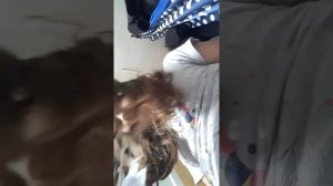 Убераюсь влог дома уборка 😵