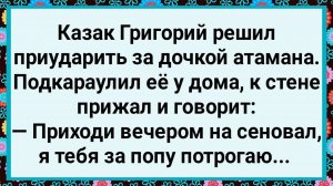 Как Казак Гришка Дочку Атамана на Сеновал Звал! Большой Сборник Свежих Смешных Анекдотов!