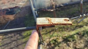 Шпалеры для сада