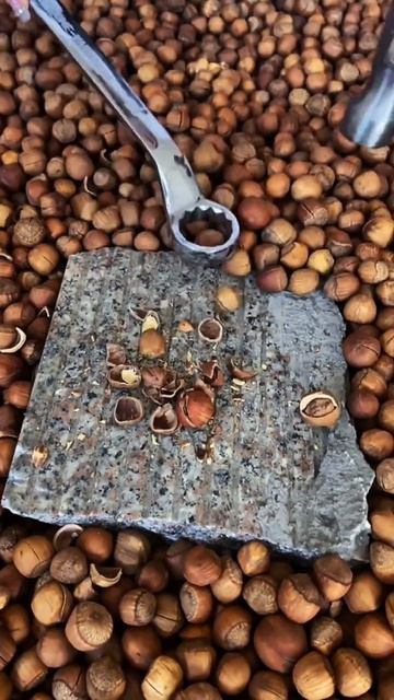 High Tech To Cracking Open A Chestnut #shorts #food #lalashorts смотреть онлайн