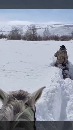 Высота сугробов в Казахстане