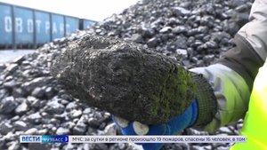 В Кузбассе начались продажи сортового угля по льготным ценам через «Кузбасстопливосбыт»
