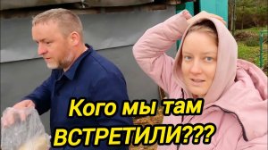 КОГО МЫ ТАМ ВСТРЕТИЛИ | ХЛЕБОМ НЕ КОРМИ | Деревенская жизнь | Дом в деревне