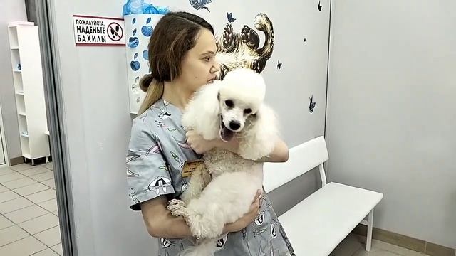 Наши пациенты с радостью посещают нашу клинику Добрый Доктор смотреть онлайн