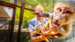 Люська за считанные минуты УХАЙДОХАЛА Влада и любимого Басика)))