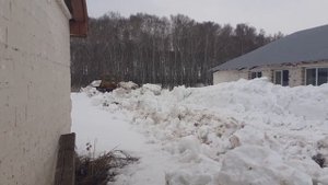 Бульдозер т-170 с ямз расчистка территории