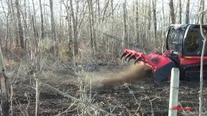 Самоходный Мульчер Раптор-800 AHWI Prinoth, Mulcher Raptor-800