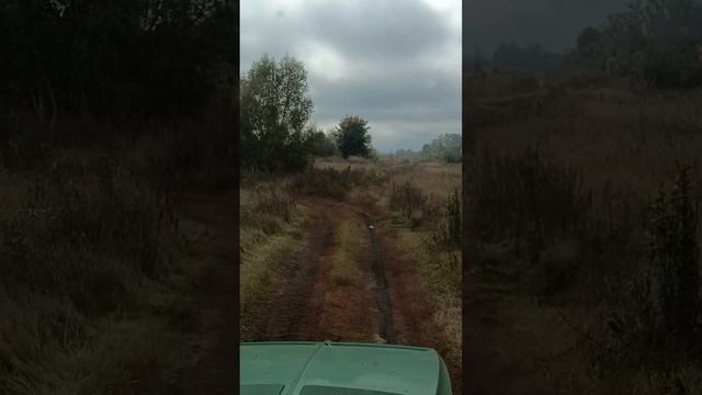 ЗАБЫТОЕ СЕЛО Новоникольское, лакша.