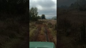 ЗАБЫТОЕ СЕЛО Новоникольское, лакша.