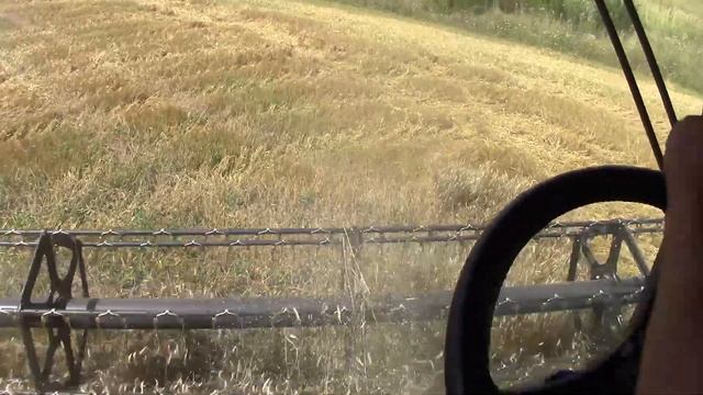 Тимур и Николь. Тимур на настоящем комбайне собирает урожай. Робота комбайна нового поколения. Обзо смотреть онлайн