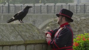 Курьёзы природного мира 3 сезон 2 серия «Лекарства природы» (документальный сериал, 2013)