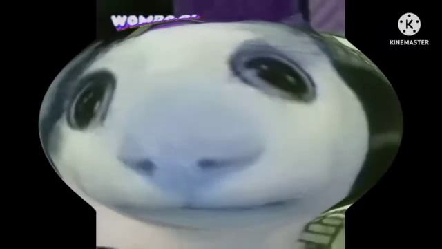 preview 2 beluga deppfake effects by preview 2 mocku deppfake effects смотреть онлайн