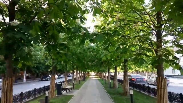 Цветут каштаны на пр.ПОБЕДЫ в Грозном смотреть онлайн