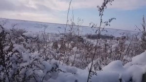 дрг "Рязань" за "работой"