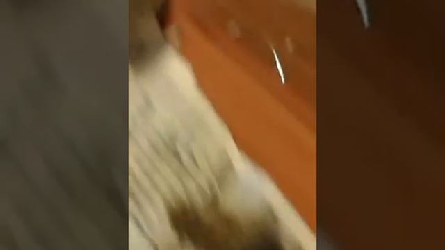 Аааа убегают смотреть онлайн