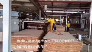 Линия сборки пакетов фанеры / Plywood lay-up / Plywood package stacker line