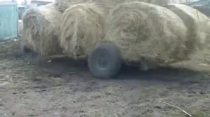 Мощь  трактора  т-25.