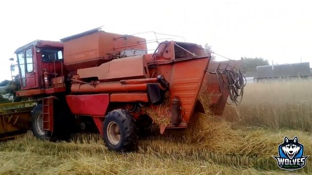 Уборка зерновых культур сезон 2021 год Дон 1500Б №4 смотреть онлайн