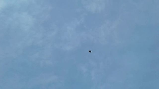 Курские 10.03.25.