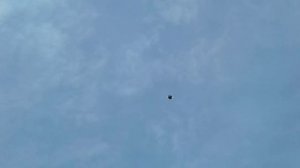 Курские 10.03.25.