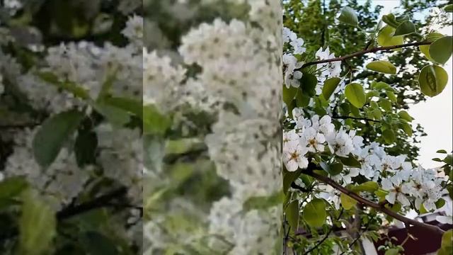 Красота какая