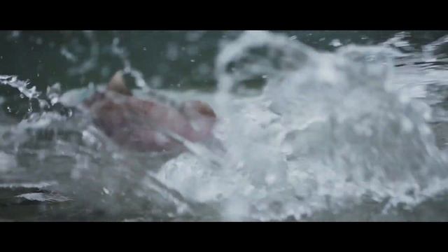 FLY FISHING FOR KING SALMON IN PATAGONIA : Caterina River