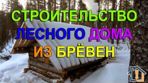 Строительство лесного дома из брёвен