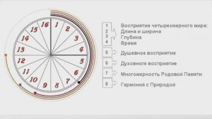 16 каналов восприятия. Сколько каналов у разных рас и детей межрасовых браков