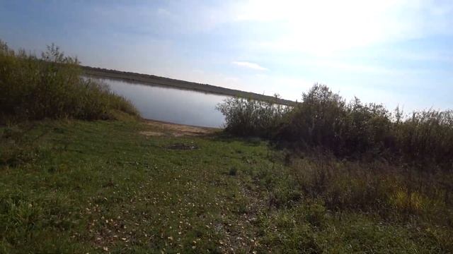 Сбор урожая Тыквы 2023 смотреть онлайн